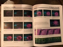BOB ROSS Presents ANNETTE KOWALSKI’s Book 2 JOY OF PAINTING FLOWERS 13 PAINTINGS