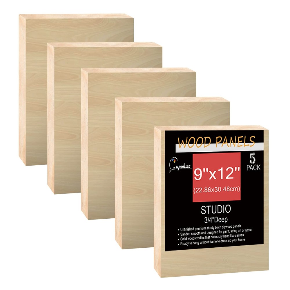 Unfinished Birch Wood Boards Canvas for Painting, 5 Packs 3/4” Deep 9” x 12…