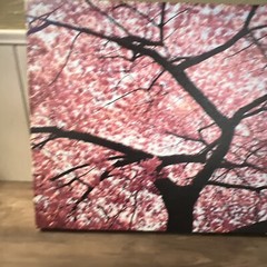 Cherry Tree 18×24 Canvas