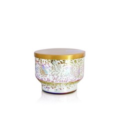 Capri Blue Havana Vanilla Scented Candles for Home – 10 oz, Iridescent
