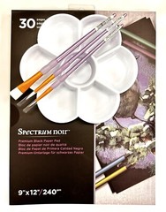 Spectrum Noir Premium Black Paper Pad, 9″ x 12″, Paint Pallet and Brushes 638870