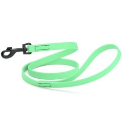 Dog Pet Waterproof Leash – W3/4″ x L4′ – Sea Foam Green