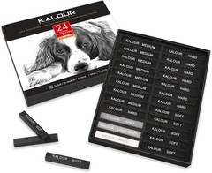 Diverse 24 Pro Charcoal Sticks Set with Pastels – For Artists & Beginners