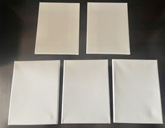 5 Piece 12” x 9” x 1.5” White Stretched Canvas for Painting Brand New