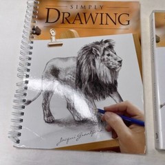 Learn to Draw Simply Drawing DVD Plus Instruction Book 2010 u