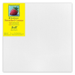 300 SERIES TRAD STRETCH CANVAS 8X8 STRATHMORE EA