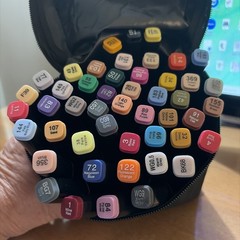 Touch 48 Twin Markers In Carrying Case ( Fine At One End Bold At The Other)