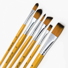 Set of 6 Painting Brush Set, Mixed Sizes, Wooden Glossy Pen, Professional Design