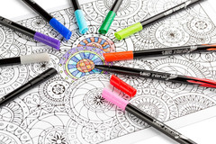 Intensity Fineliner Marker Pen Set, Fine Point Pens (0.4 Mm), Assorted Colors, 1