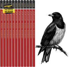 Professional Charcoal Pencils Drawing Set -12 Pieces Soft, Medium Hard Charcoal