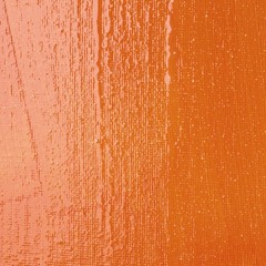 Liquitex Professional High Gloss Varnish, 8 Fl Oz (Pack of 1),