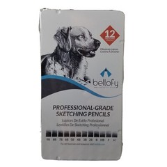 Drawing Sketch Pencils 12 Piece Professional Artist Graphite Shading Art Tools