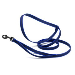 Dogline Rubber Infused Nylon Walking Leash W3/4″ x L8′ – Blue