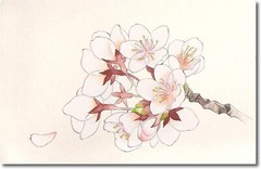 Kissho Japanesse Painting Paints Lumi Accent Color Set of 6 Made in Japan New