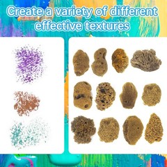 Natural Sea & Synthetic Sponges – Assorted Sizes 8pc Value Pack for Crafts & …