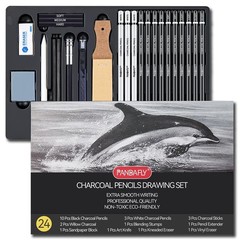 PANDAFLY 24 Piece Charcoal Drawing Set, Black & 1 Count (Pack of 24),