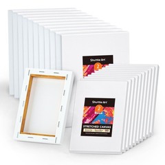 Canvas for Painting, 20-Piece Multi-Pack 5×7 & 8×10 Inch Stretched Canvas, 10…