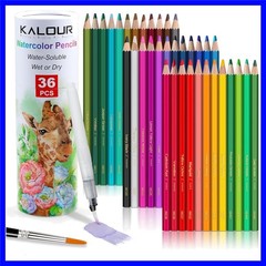 Professional Quality 36-Color Water-Soluble Pencils with Brush & Storage Case