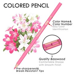 Oil Based Colored Pencils 24 Color Set Orange Yellow Tones for Adult Coloring