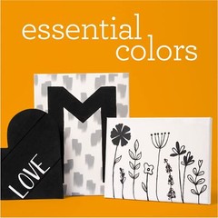 PROMOABWB Set Featuring 2 White Black Acrylic Paint Colors 16 Fl Oz Pack of 2…