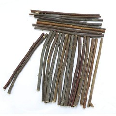TKOnline 100Pcs 10cm 0.1-0.2 Inch in Diameter Wood Log Sticks for DIY Crafts …