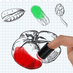Finger Sponge Daubers with Storage Box for Painting Chalk Ink Craft 40 Pcs