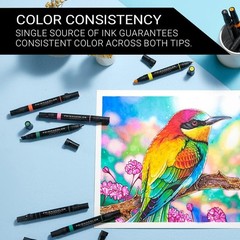 12 Non-Toxic Dual-Ended Art Markers with Fine and Chisel Tips – Assorted Colors