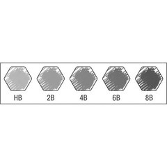 Faber-Castell Castell 9000 Jumbo graphite pencil tin of 5 119305