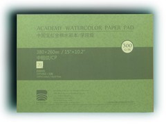 BAOHONG Academy Grade Watercolor Block, 100% Cold Press 15″x10.2″, White