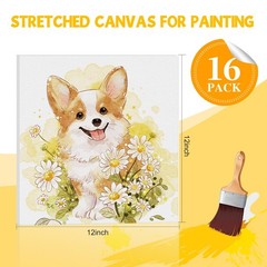Esrich Stretched Canvas For Painting 12X12 Inch 16 Pack Painting Square Canvas