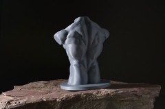 Planar Head, with Male & Female Torso — Art Reference Collection