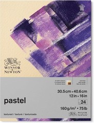 Winsor & Newton Professional Pastel Paper Pad 12×16 Inch 24 Sheets Earth Colors