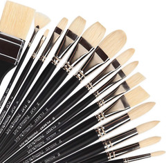 Natural Bristle Professional Paintbrush Set, 15PCS Long Handled Paint Brushes fo
