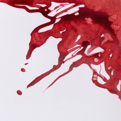 Drawing Ink 14ml Bottle Brick Red Winsor & Newton 1005040