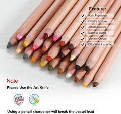 Pro Pastel Chalk Colored Pencils 24 Colors portrait set Color Charcoal Pencils