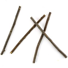 TKOnline 100Pcs 10cm 0.1-0.2 Inch in Diameter Wood Log Sticks for DIY Crafts …