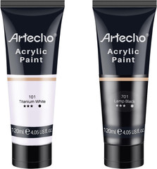 Professional Acrylic Paint White and Black 120ml / 4.05oz Tubes Art C…