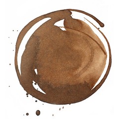 Professional Acrylic Ink 1-oz 30ml Jar Transparent Burnt Umber Paint Supply