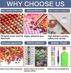 Chicken Diamond Art Kits for Adults, 5D DIY Chicken Diamond Painting Kits for Be