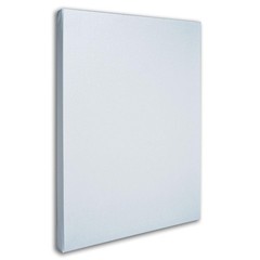 Trademark Fine Art Stretched Canvas For – Wrapped Blank White Canvas