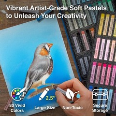 100 Colors Soft Pastel Chalk Set for Artists Kids Teens Adults Drawing Painting