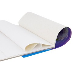 12″ x 16″ 10-Sheet 8-Ounce Triple Primed Acid-Free Canvas Paper Pad (2 Pads)