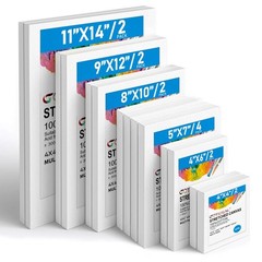 Canvas for Painting, 14 Pcs Muti Pack Stretched Painting Canvas, Blank Paint …