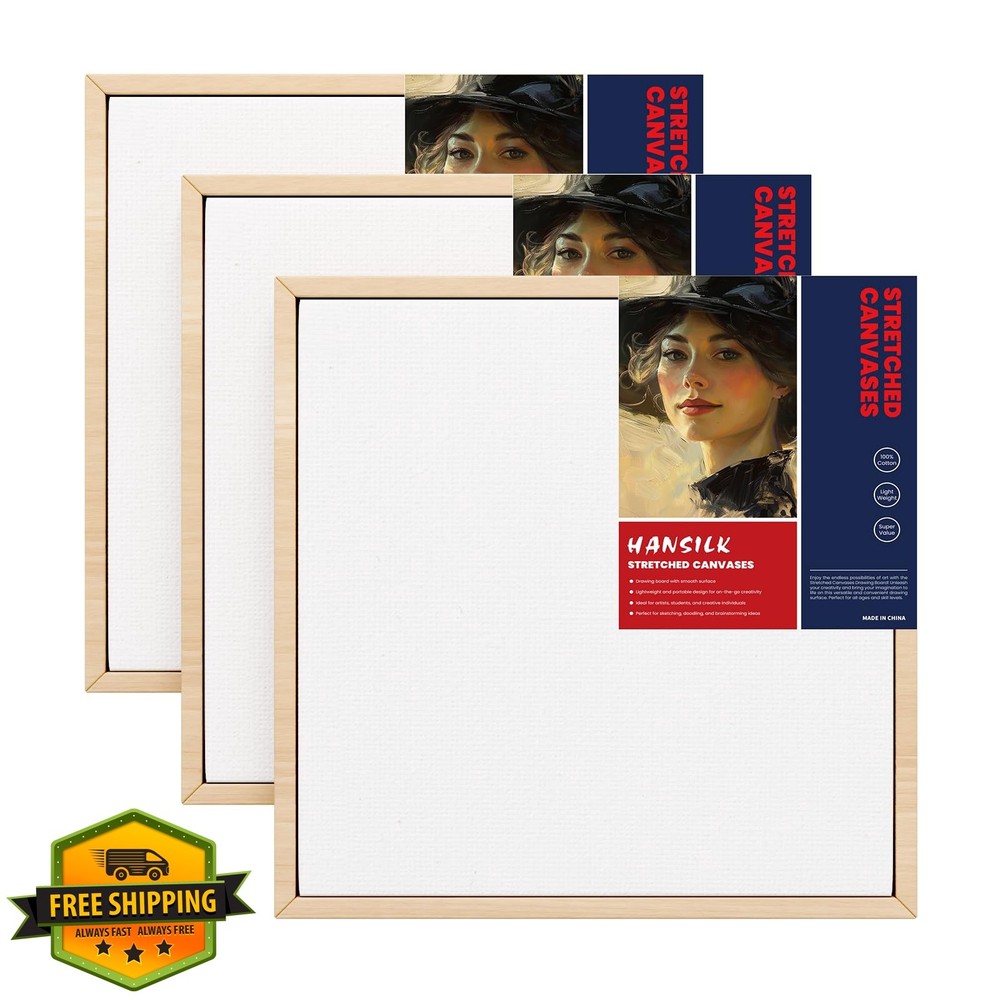 HANSILK Canvas 10×10 3pk Blank Framed