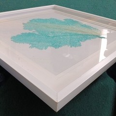 26X26-IN FRAMING OF TURQUOISE SEA FAN on Canvas Art by Vision Studio. da
