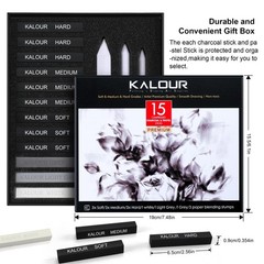 15 Pro Compressed Charcoal Drawing Set with Blending Stumps Soft,Medium,Hard …