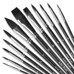 Watercolor Paint Brush Set,12Pcs Professional Paint Brushes for Acrylic Paint…