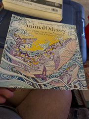 Lot of 2 Advanced Coloring Books – Chris Garver Animal Odyssey & Graffiti Art