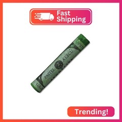 SENNELIER Extra-Soft French Pastel for Professional Artists, Moss Grey Green 171