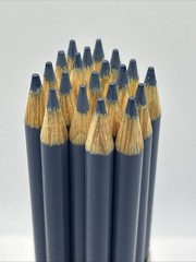(20) Crayola Colored Pencils (manatee) BULK